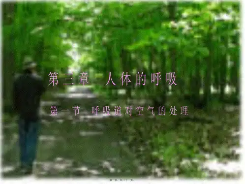 七年级生物 第四单元《 4.3.1呼吸道对空气的处理》课件