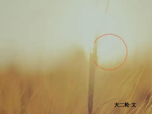 2018高考数学文二轮复习课件：第二编 专题整合突破 专题二 函数与导数 第一讲 函数的图象与性质 