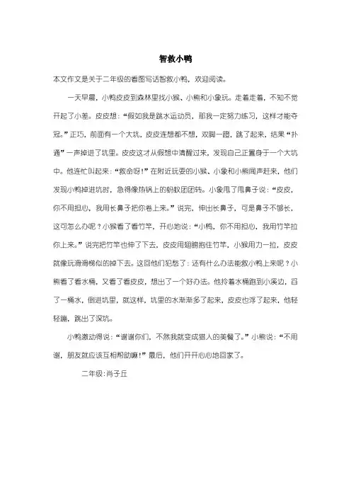小学二年级看图写话：智救小鸭_2