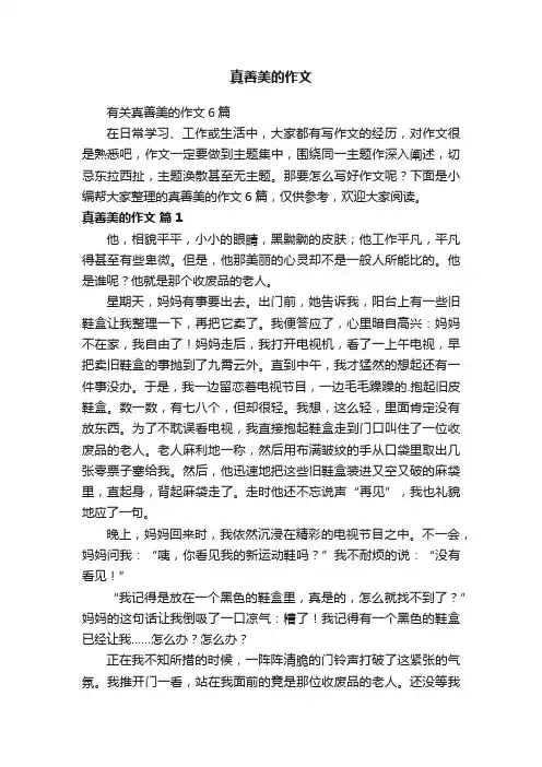 真善美的作文 2