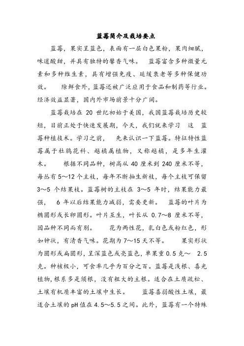 蓝莓简介及栽培要点