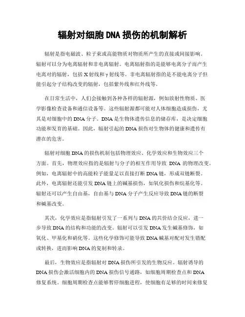 辐射对细胞DNA损伤的机制解析