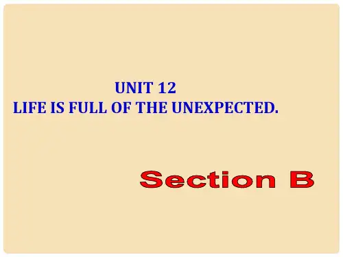九年级英语全册 Unit 12 Life is full of the unexpec