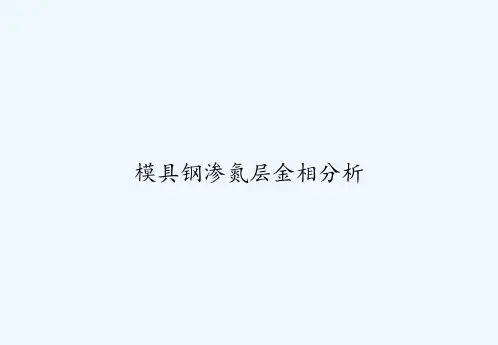 模具钢渗氮层金相分析 PPT