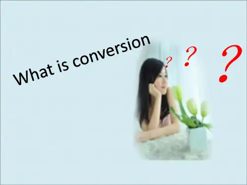 词汇学中的转类法讲的ppt