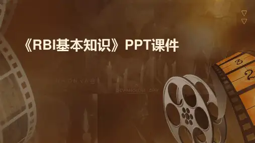 《RBI基本知识》课件