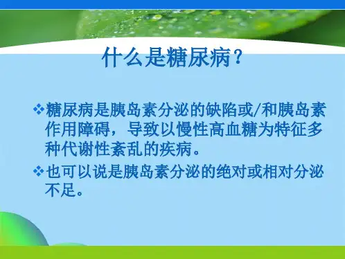 有关胰岛素 您了解多少ppt(共30张PPT)