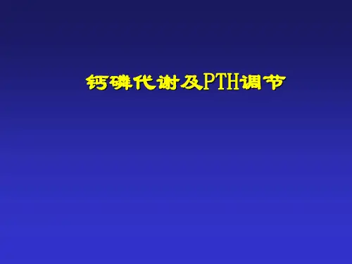 钙磷代谢2
