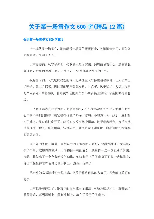关于第一场雪作文600字(精品12篇)