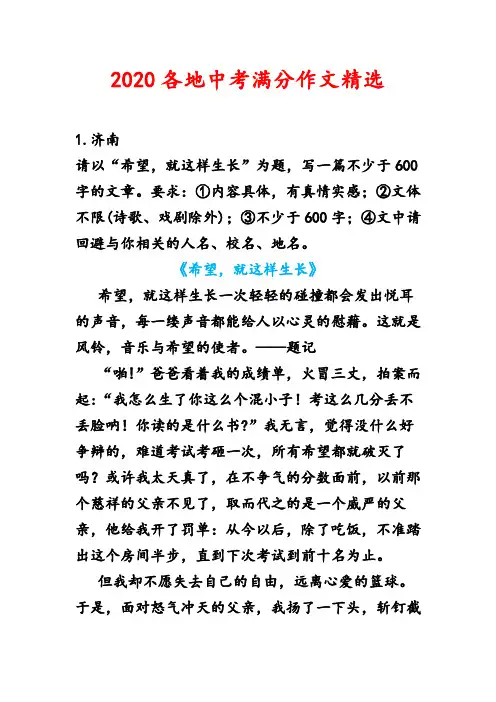 2020各地中考满分作文精选