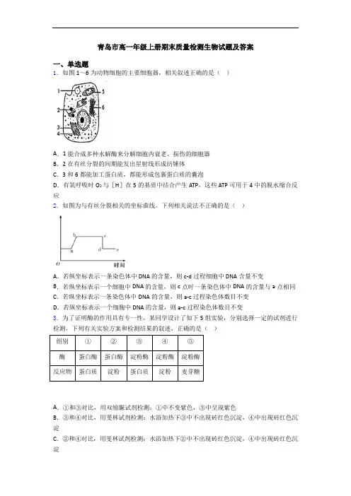 青岛市高一年级上册期末质量检测生物试题及答案