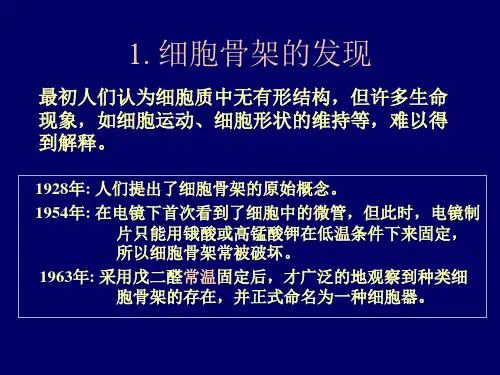 13-14细胞骨架-PPT课件