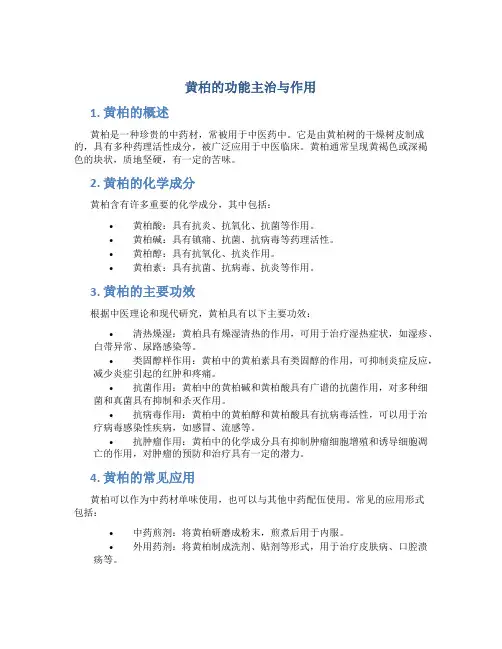 黄柏的功能主治与作用