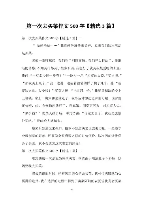 第一次去买菜作文500字【3篇】