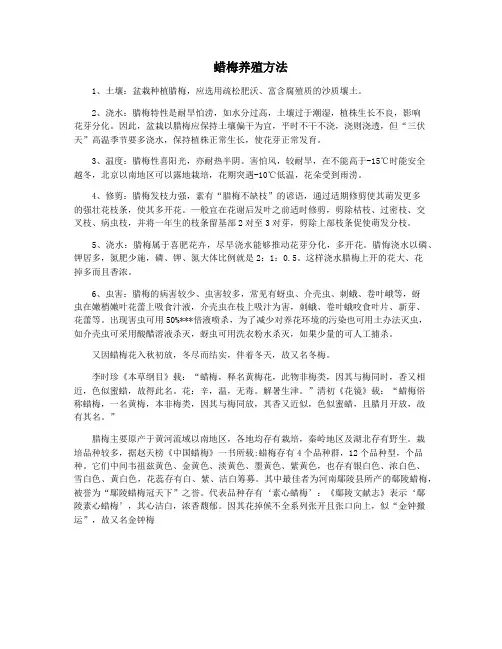 蜡梅养殖方法