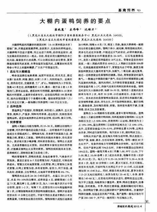 大棚内蛋鸭饲养的要点