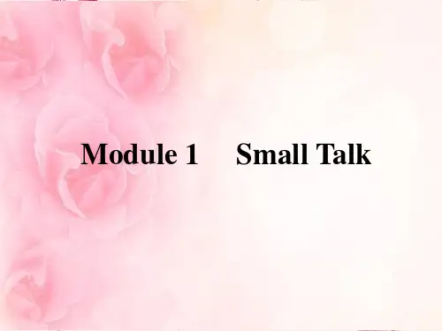高二外研选修6-Module-1-Small-Talk-Reading-and-Vocabulary