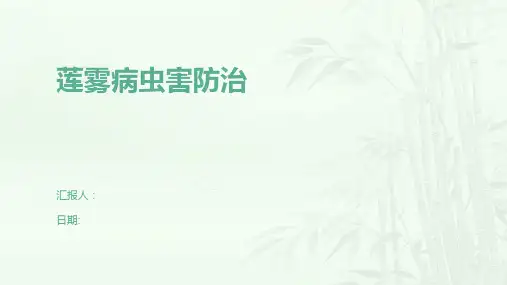 莲雾病虫害防治