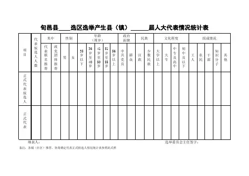 代表情况统计表