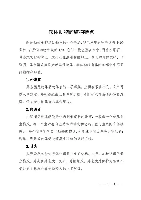 软体动物的结构特点