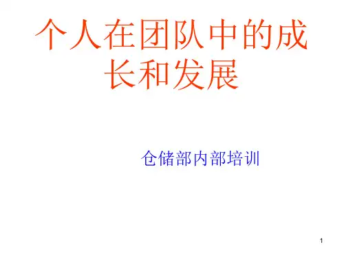 个人在团队中的成长与发展ppt课件