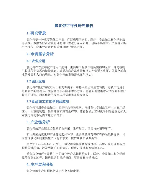 氯化钾可行性研究报告