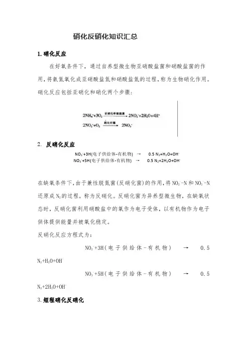 硝化反硝化知识汇总
