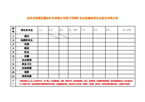 煤矿安全质量标准化自检自评打分表