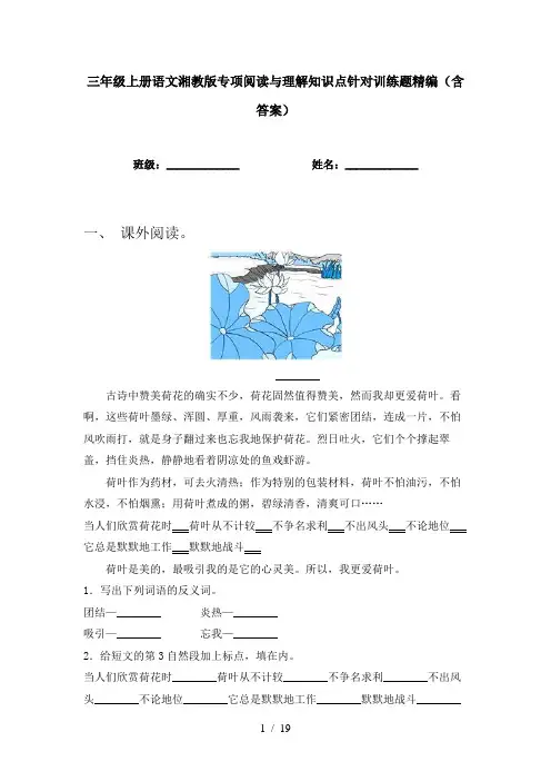 三年级上册语文湘教版专项阅读与理解知识点针对训练题精编(含答案)