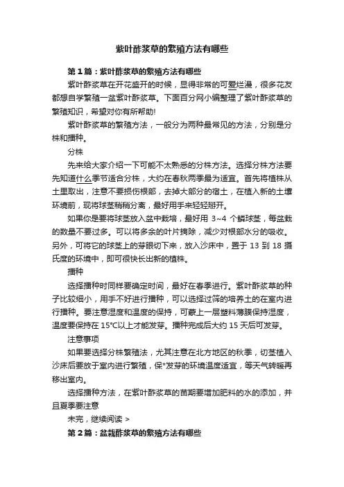 紫叶酢浆草的繁殖方法有哪些