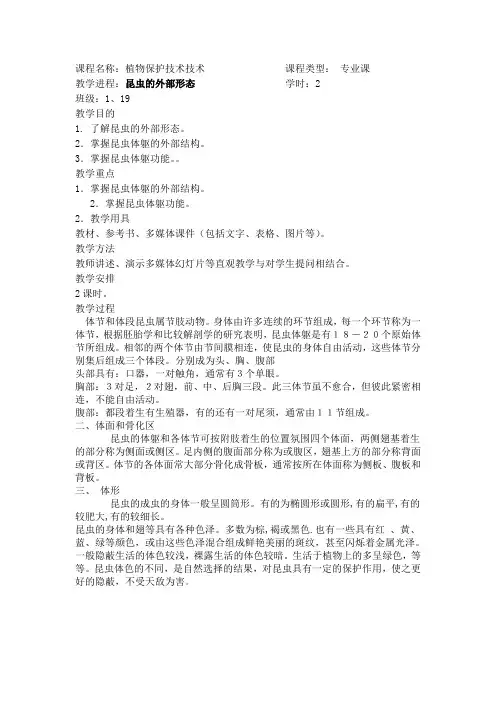 植物保护技术教案昆虫的外部形态