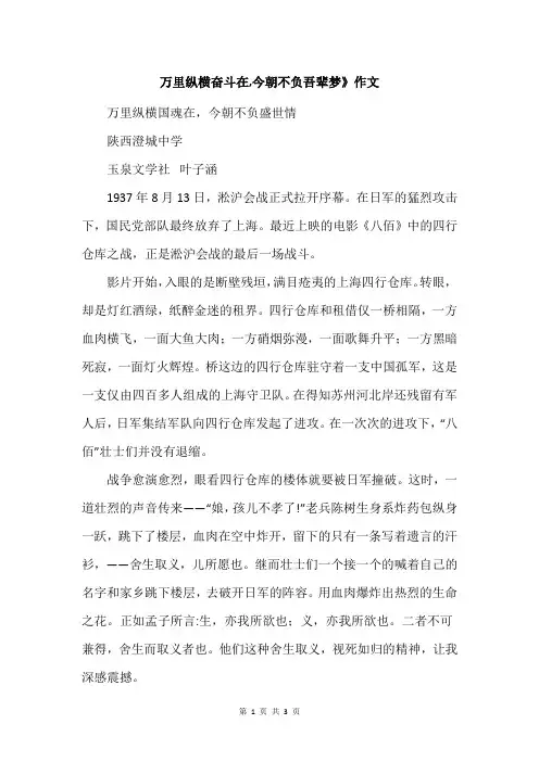 万里纵横奋斗在,今朝不负吾辈梦》作文
