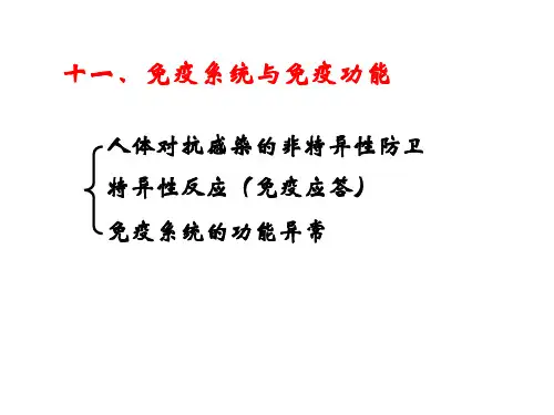 暨大普通生物学-11免疫系统与免疫功能