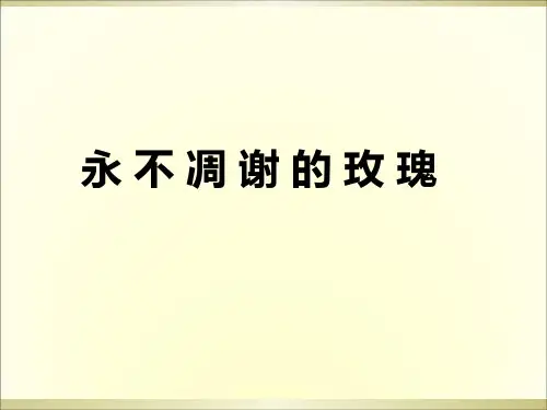 三年级上册语文阅读课件-32.永不凋谢的玫瑰 l  西师大版 (共9张PPT)