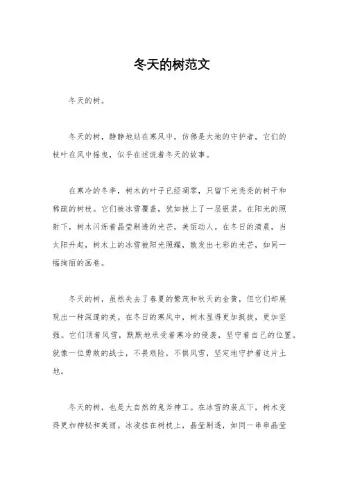 冬天的树范文