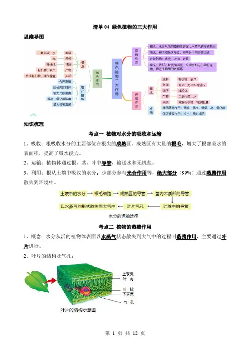 中考生物知识清单4之绿色植物的三大作用