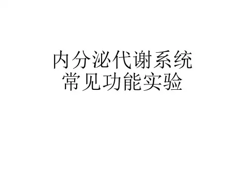 功能实验ppt课件
