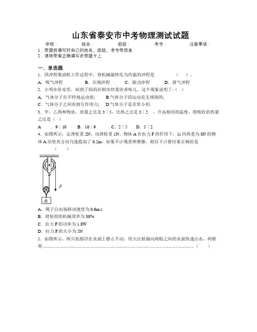 最新山东省泰安市中考物理测试试题及解析