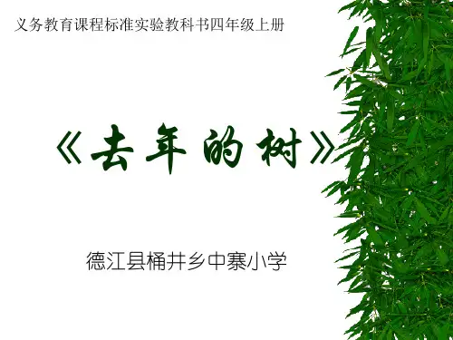 四年级上册《去年的树》PPT课件