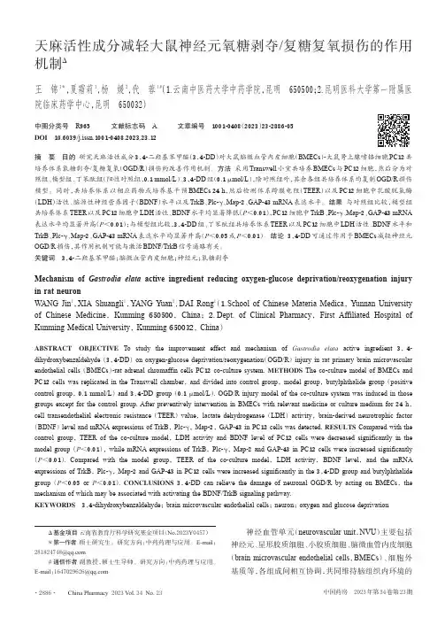 天麻活性成分减轻大鼠神经元氧糖剥夺