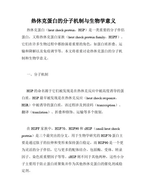 热休克蛋白的分子机制与生物学意义