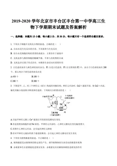 2019-2020学年北京市丰台区丰台第一中学高三生物下学期期末试题及答案解析