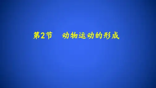 北师大版八年级生物上册课件 5.15.2动物运动的形成(第二课时)(共17张PPT)
