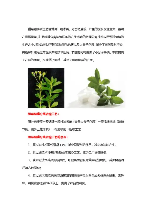 甜菊糖膜分离浓缩工艺