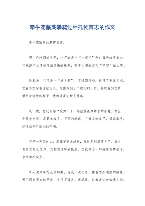 牵牛花藤蔓攀爬过程托物言志的作文