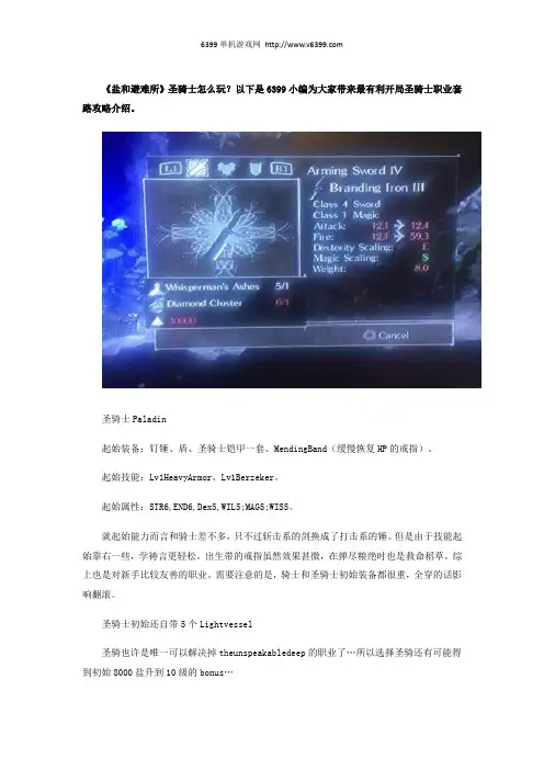 《盐和避难所》圣骑士怎么玩？最有利开局圣骑士职业套路攻略介绍