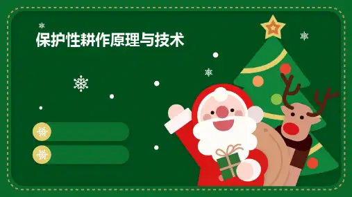 保护性耕作原理与技术