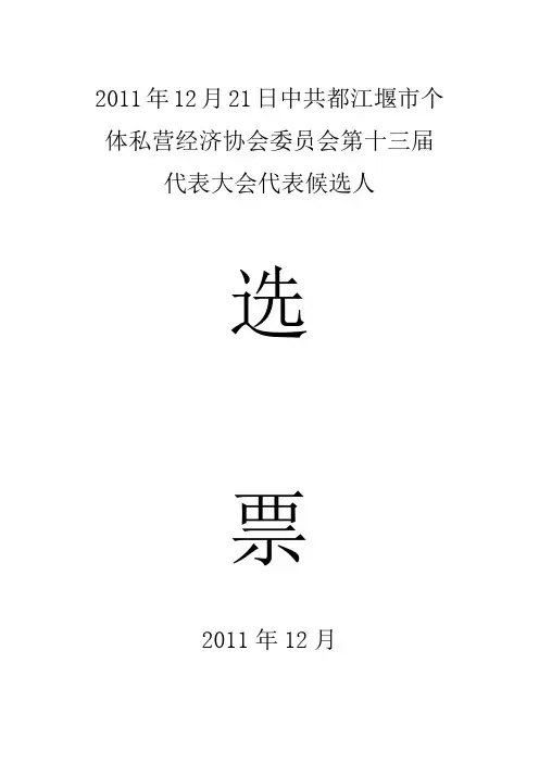 党代表选票样式