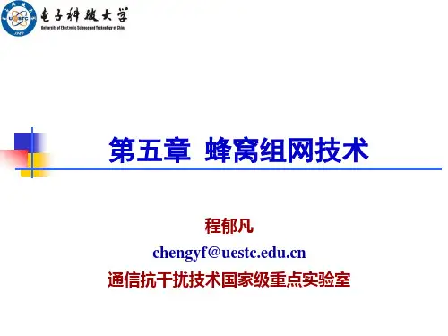 第五章  蜂窝组网技术