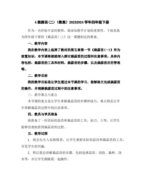4栽蒜苗(二)(教案)2023-2024学年微信四年级下册